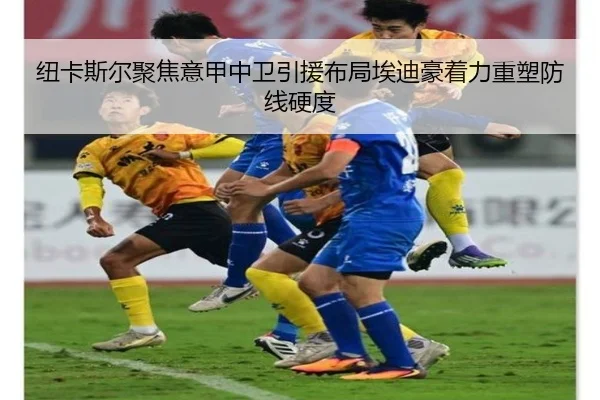 纽卡斯尔聚焦意甲中卫引援布局埃迪豪着力重塑防线硬度